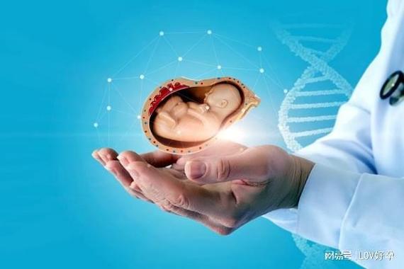 试管代生男孩公司-定制男孩:试管代生男孩公司助您实现梦想